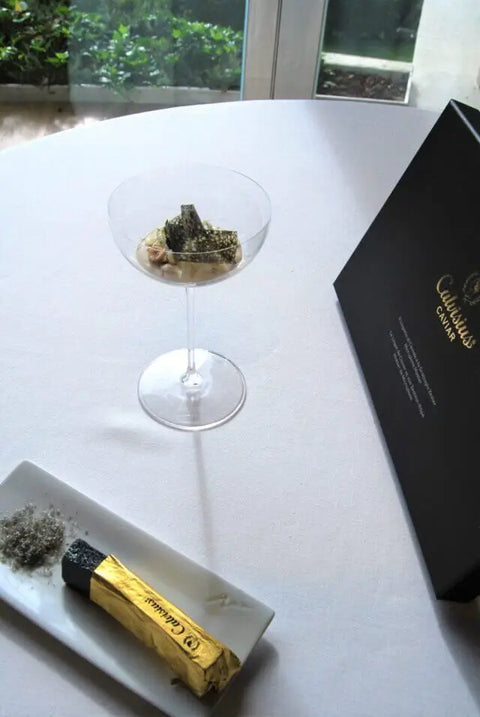 Pressed Caviar Lingotto