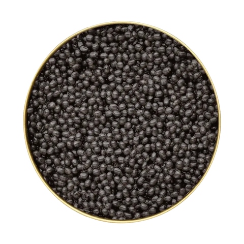 Beluga Caviar