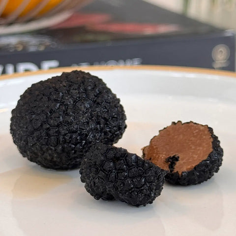 Black Summer Truffles