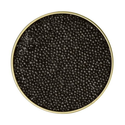 DaVinci (Adriatic Sturgeon) Caviar