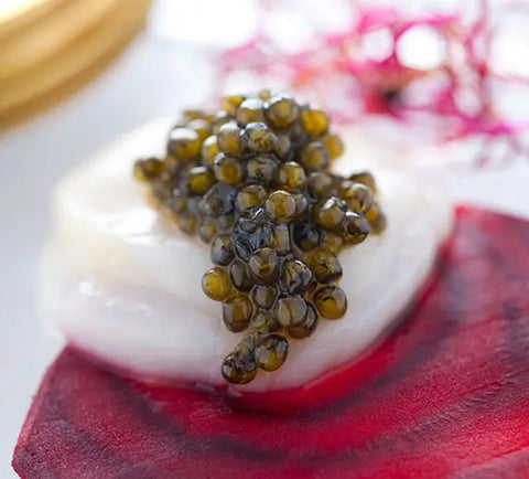 Ossetra (Russian) Caviar