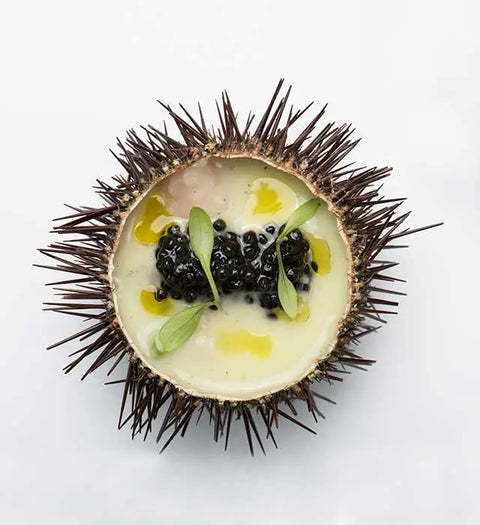 Caviar DaVinci (Esturgeon Adriatique)