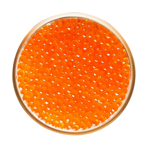 Salmon Roe (Ikura)