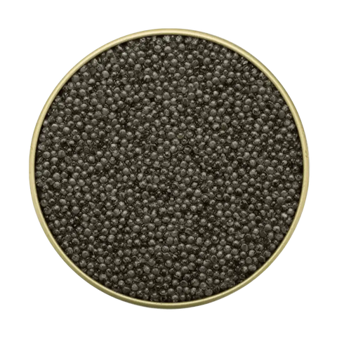 Sevruga Caviar