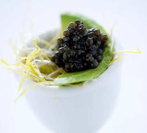 Caviar Sibérien (Baerii)