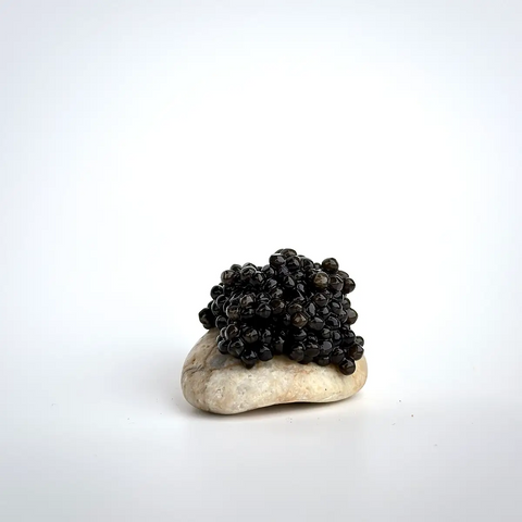 Special Reserve Siberian (Baerii) Caviar