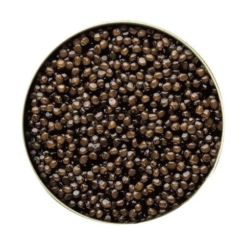 Siberian (Baerii) Caviar