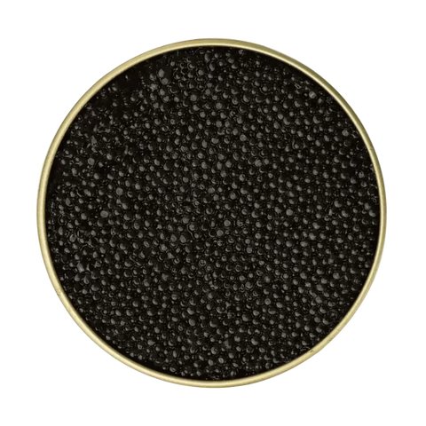 White Sturgeon Caviar