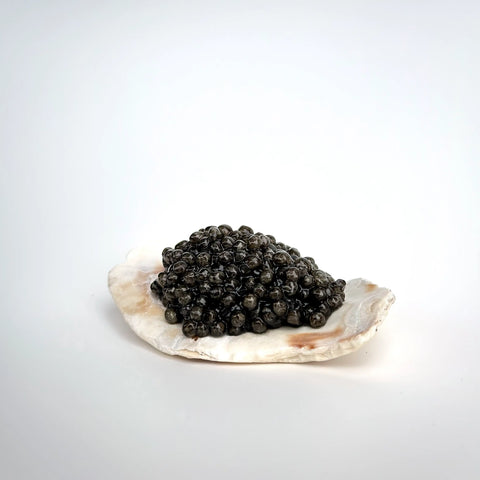 The Ultimate Guide to Beluga Caviar