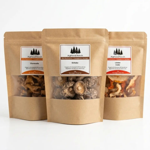 Wild Mushroom Discovery Set