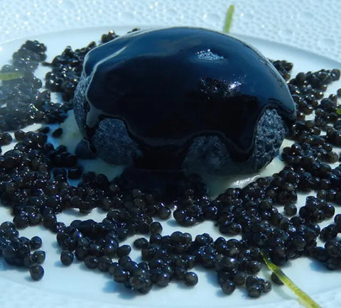 Caviar de béluga (Huso Huso)