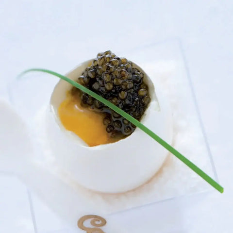 Caviar Osciètre (Russe)