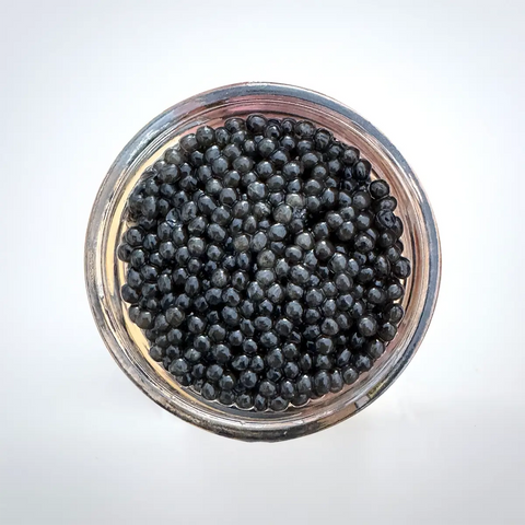 Caviar de Sibérie iranien (Baerii)