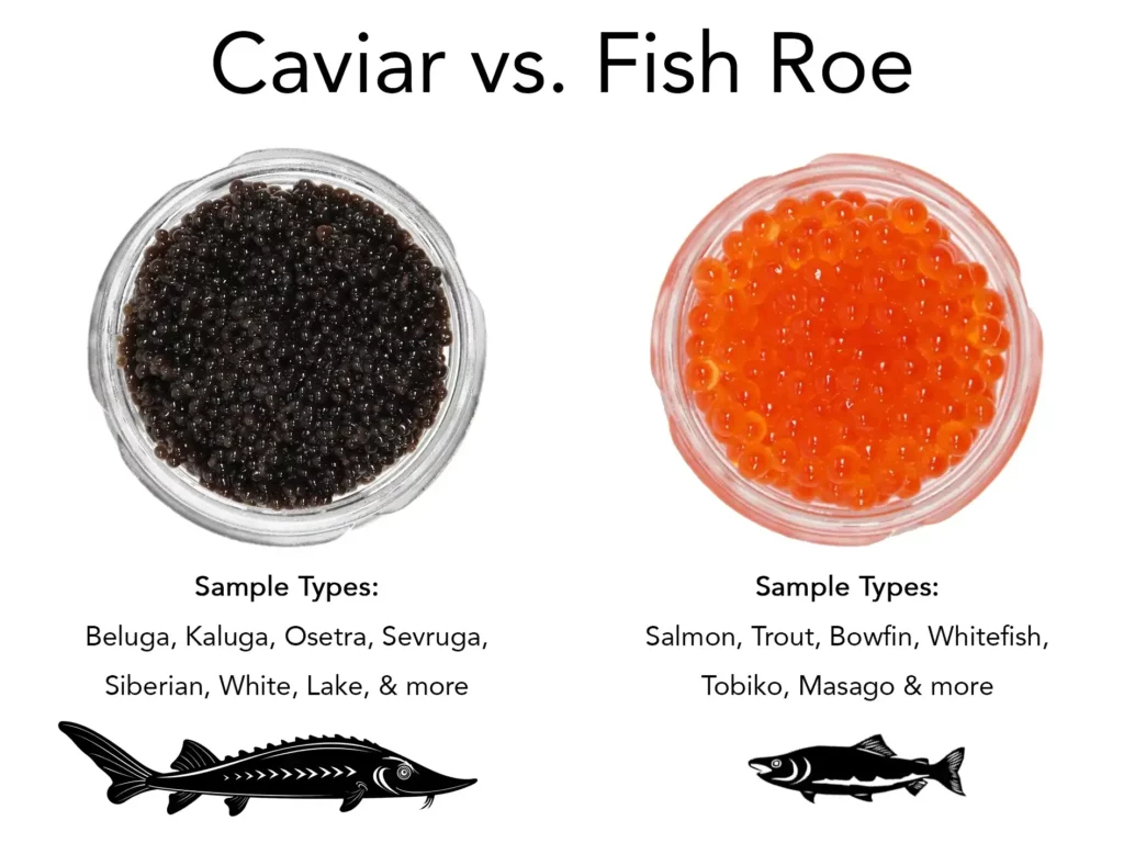 Roe vs. Caviar - What's the Difference? 