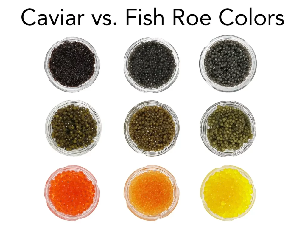 Roe vs. Caviar - What's the Difference? - CaviarHub.ca