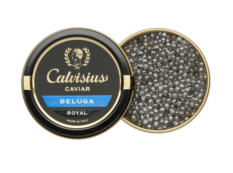 beluga-caviar-calvisius