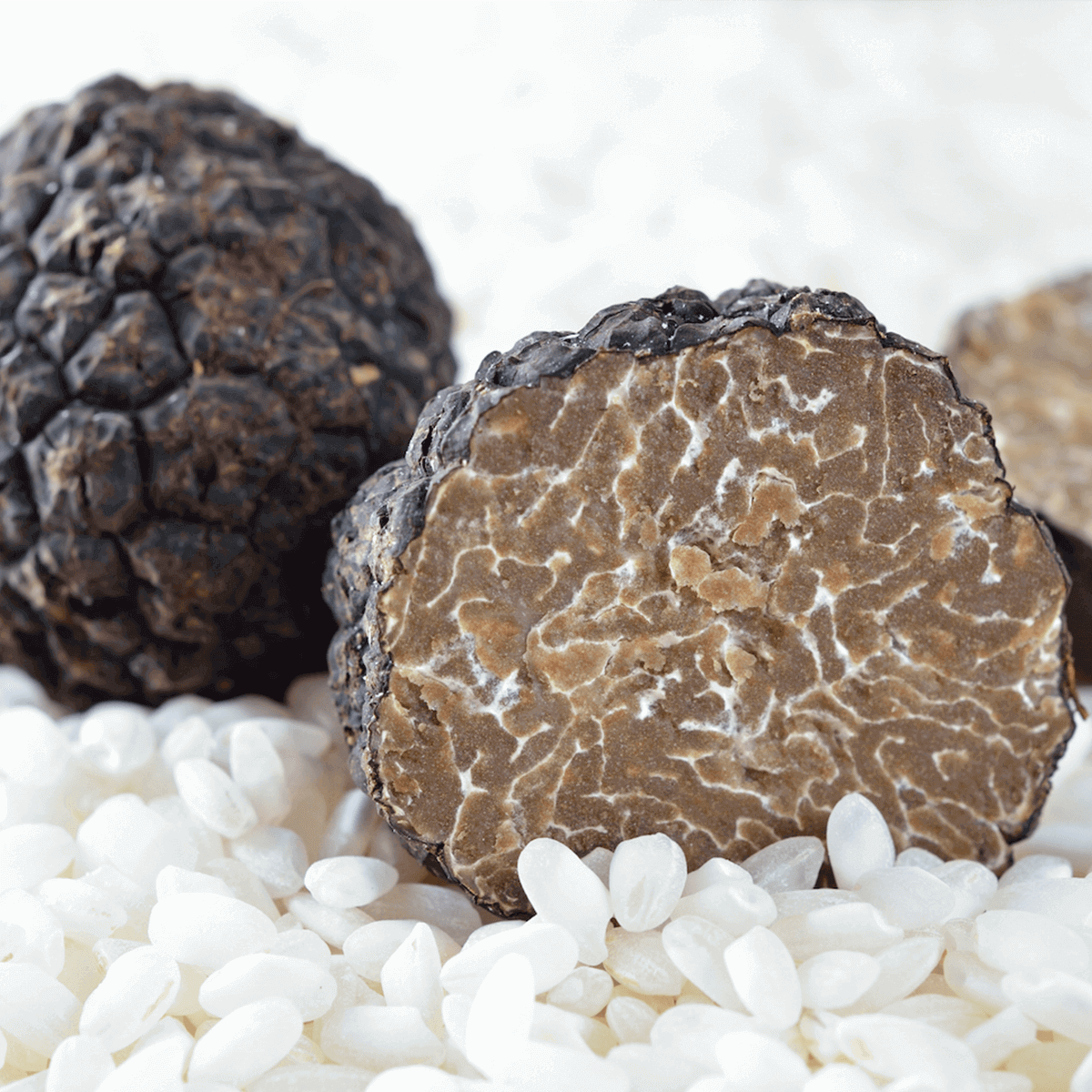 rice-with-truffle-bits-3