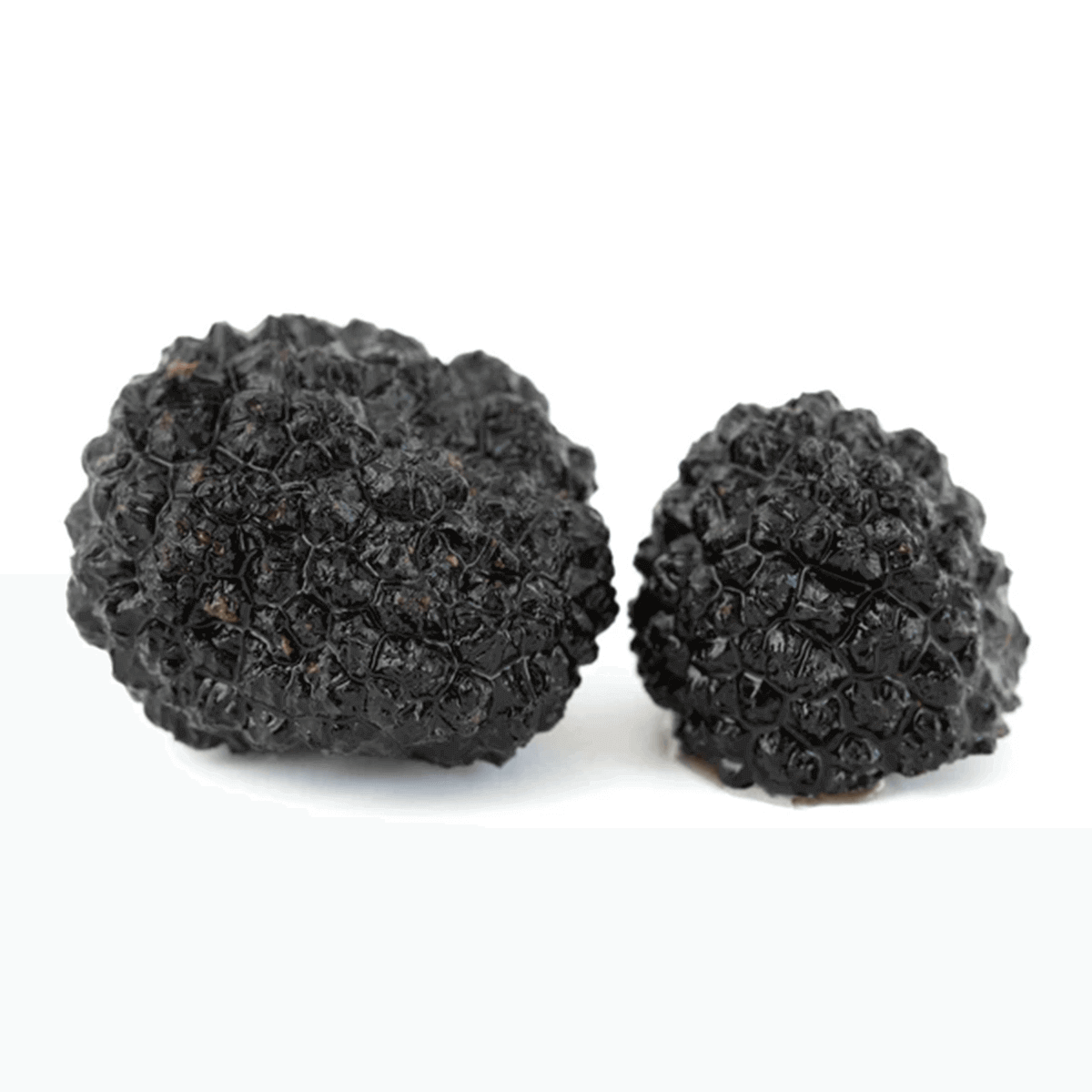 summer-truffle-whole-3