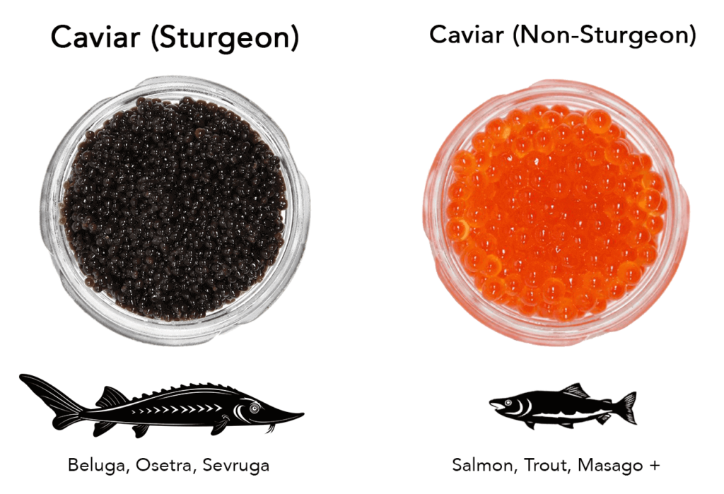 What is Caviar? Premium Caviar & Free 1-Day Shipping | CaviarHub.ca